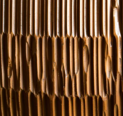 Illustration reeding - Image 1