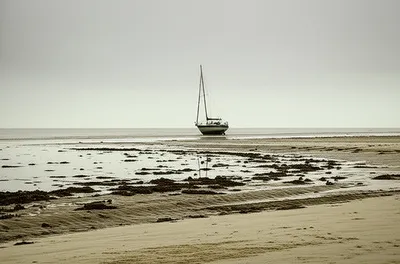 Illustration ebb - Image 1