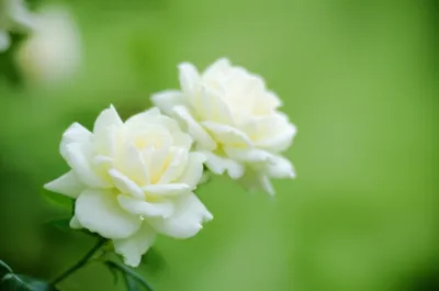 Illustration nuance - Image 1