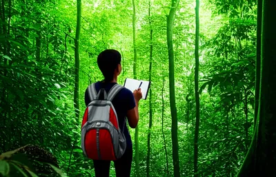 Illustration exploring - Image 1