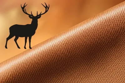 Illustration deerskins