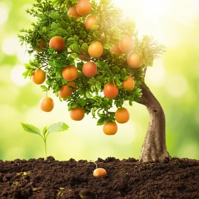 Illustration multiplier - Image 1