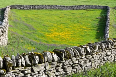 Illustration marks - Image 1