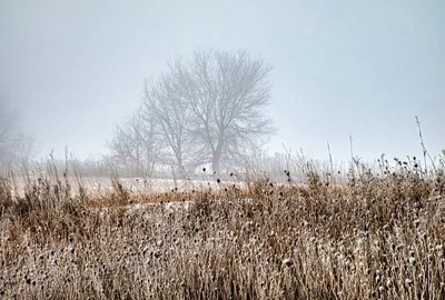 Illustration snags - Image 1