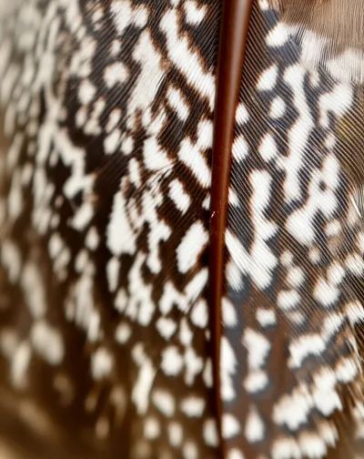 Illustration mottled - Image 1