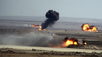 Illustration shells - Image 1