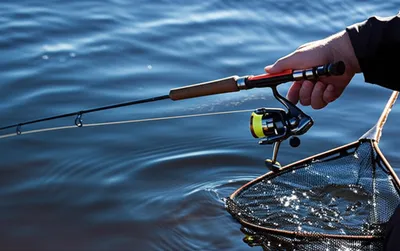 Illustration hooker - Image 1