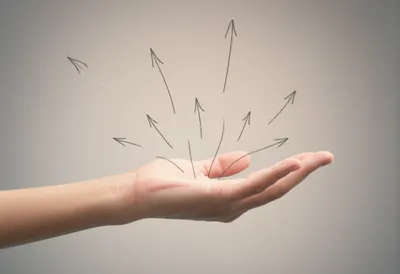 Illustration palmar - Image 1