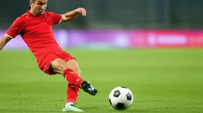 Illustration fluffed - Image 1