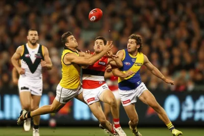 Hình ảnh minh họa follower - Ảnh 1