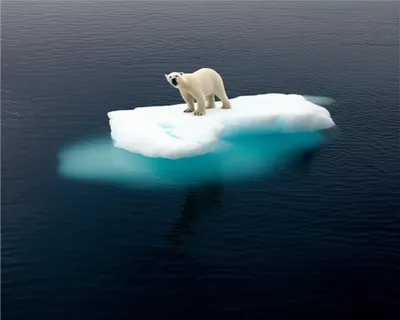 Illustration imperiled - Image 1