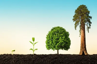 Illustration exponential