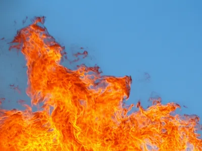 Illustration remitting - Image 1