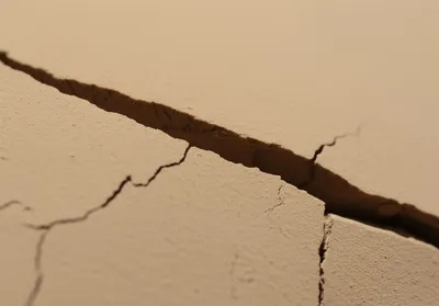 Illustration crisp - Image 1