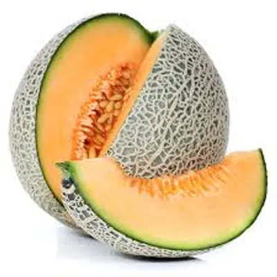 Illustration melon - Image 3