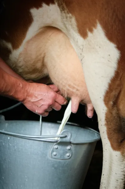 Illustration stripping - Image 1