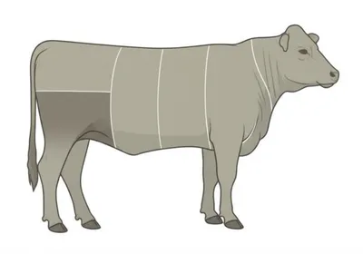 Illustration brisket - Image 1
