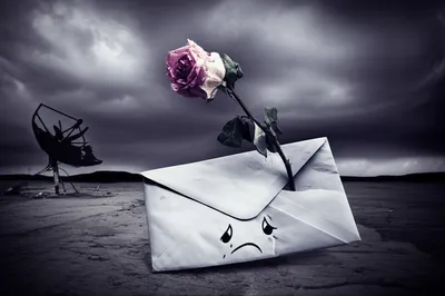 Illustration bounces - Image 1