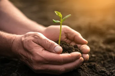 Hình ảnh minh họa springing - Ảnh 1