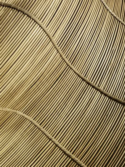 Illustration bamboo - Image 1