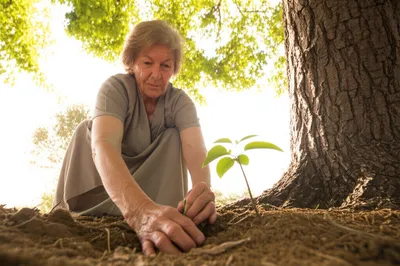 Illustration dignifying