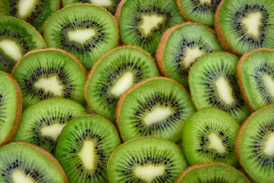 Illustration kiwis - Image 2