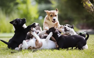 Illustration bundled - Image 1