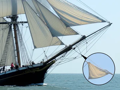 Illustration tacks - Image 1