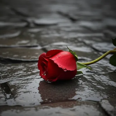 Illustration murdered - Image 1