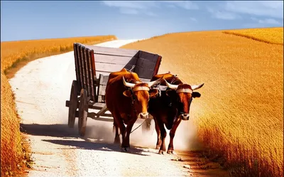 Illustration waggon - Image 1