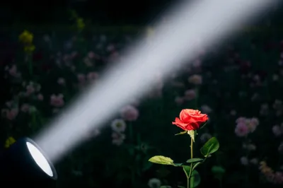 Illustration injecting - Image 1