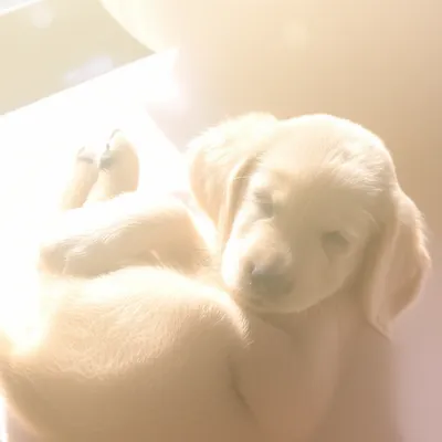 Illustration nappy - Image 1