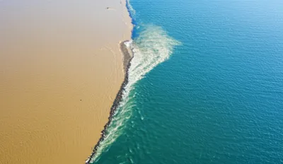 Illustration merger - Image 1