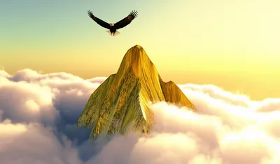 Illustration epitome - Image 1