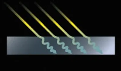 Illustration extinction - Image 2