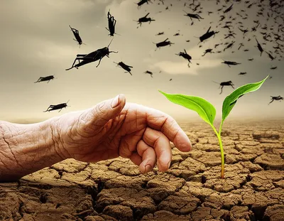 Illustration deadlier - Image 1