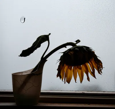 Illustration miserably - Image 1