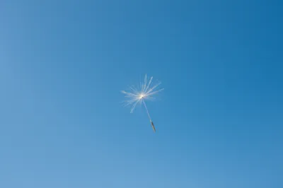 Illustration subtlety - Image 1