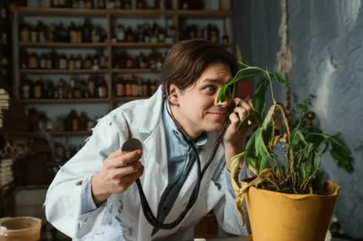 Illustration quacks - Image 1