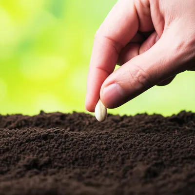 Illustration process - Image 1