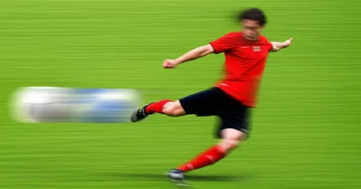 Illustration snipe - Image 1