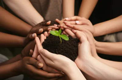 Illustration shared - Image 1