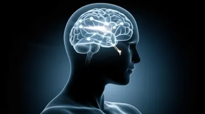 Illustration neurology - Image 1