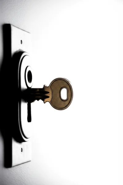 Illustration highlight - Image 1