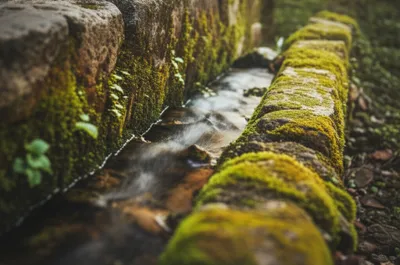 Illustration insinuate - Image 1