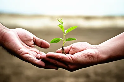 Illustration proffer - Image 1