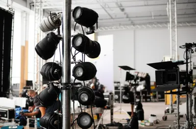 Illustration polecat - Image 1