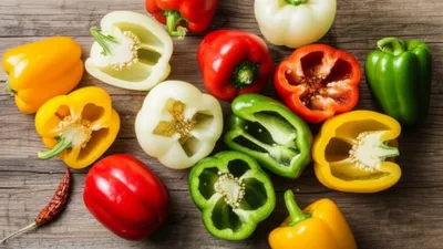 Illustration piper - Image 1