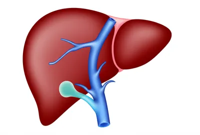 Illustration portal - Image 1