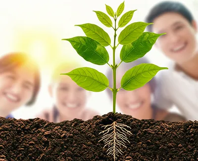 Illustration gained - Image 1